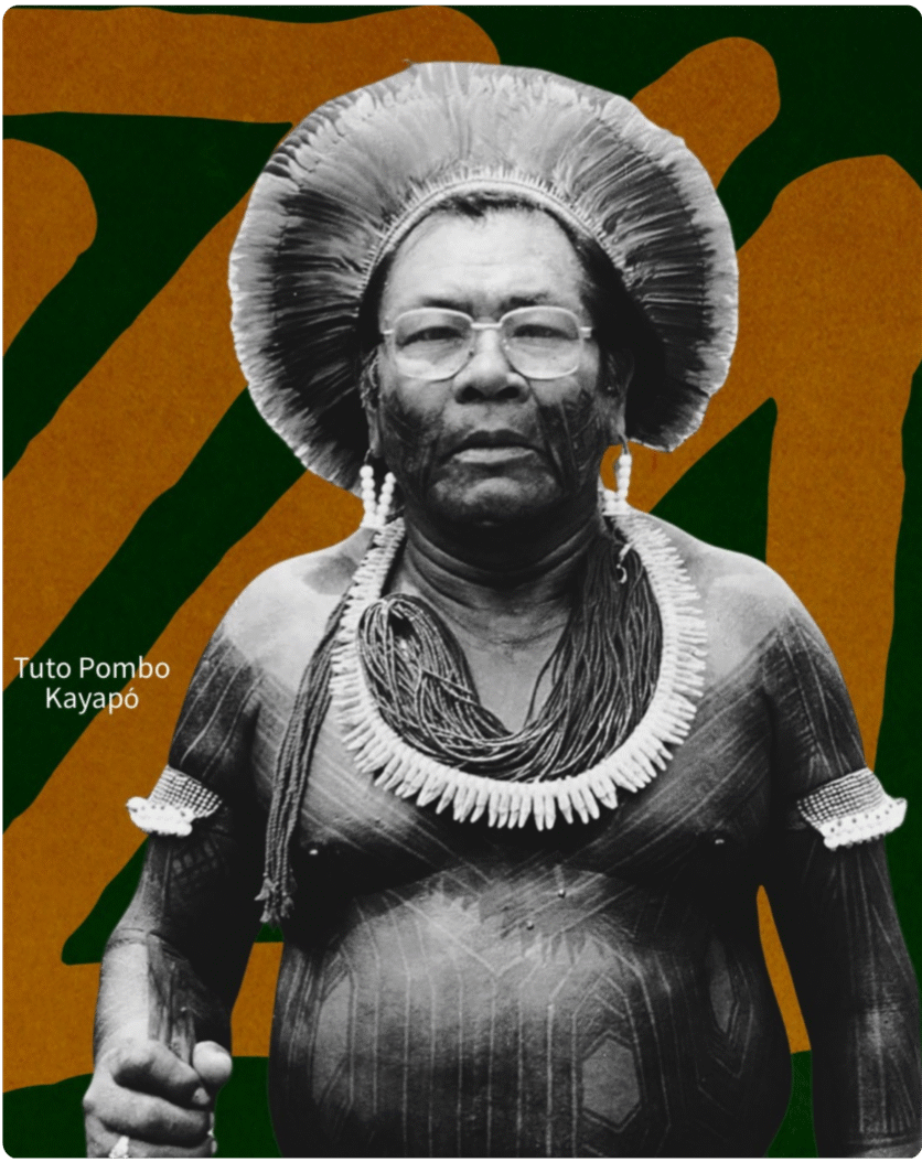 Tuto Pombo Kayapó